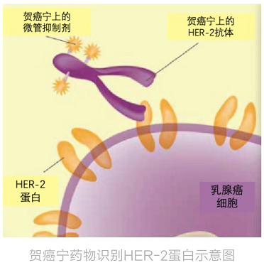 微信圖片_20190904105739.png