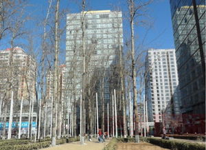 橡樹公館 北京橡樹公館配套實景圖,樣板間,效果圖,戶型圖 北京網(wǎng)易房產(chǎn)