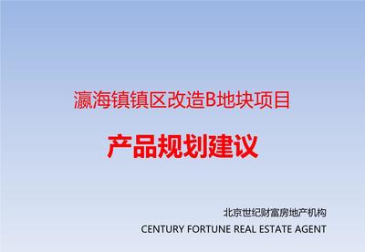 北京瀛海鎮(zhèn)鎮(zhèn)區(qū)改造B地塊項目產(chǎn)品規(guī)劃建議.ppt