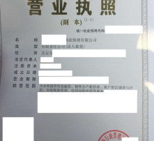 高清圖片與內資公司注冊 流程、材料與注意事項詳解